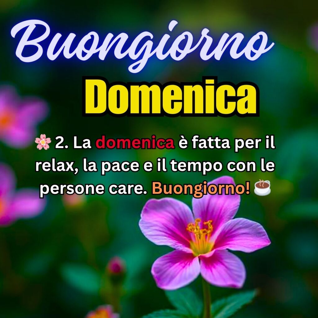 Buongiorno Domenica con messaggio rilassante e fiori rosa sullo sfondo