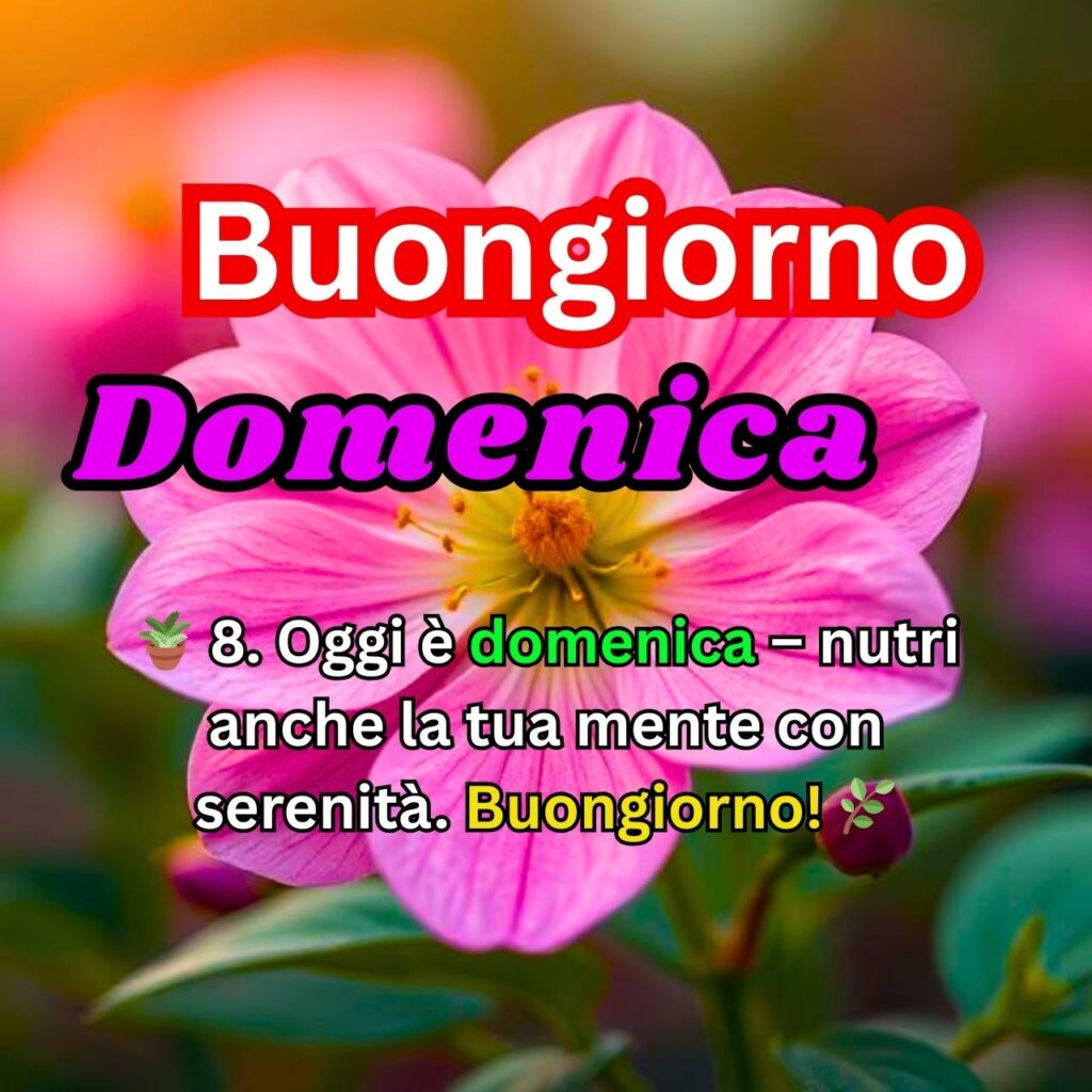 Buongiorno Domenica con fiore rosa e messaggio positivo per la mente