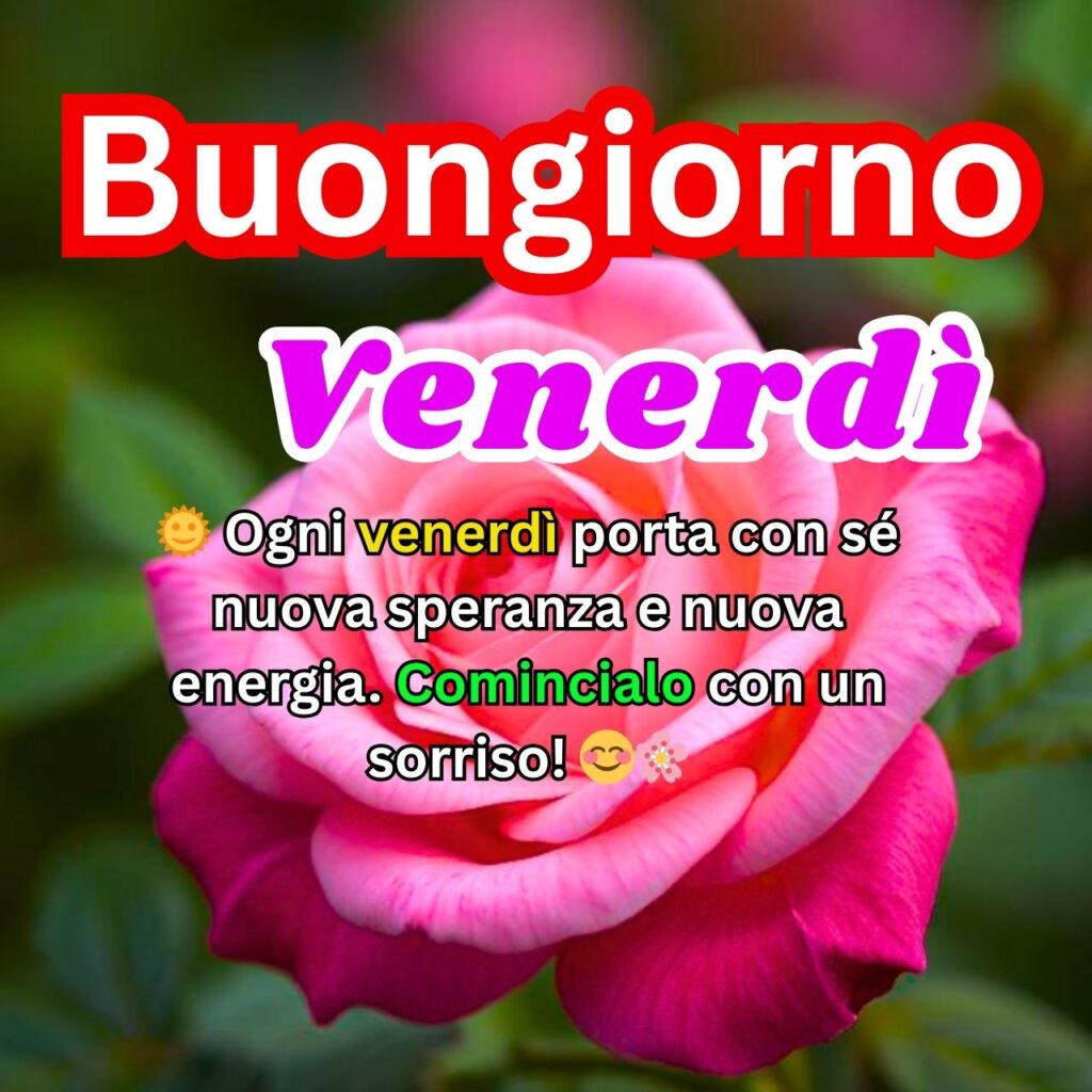 Buongiorno Venerdì" con una splendida rosa rosa e un messaggio ispiratore su speranza, energia e sorrisi per iniziare bene la giornata.