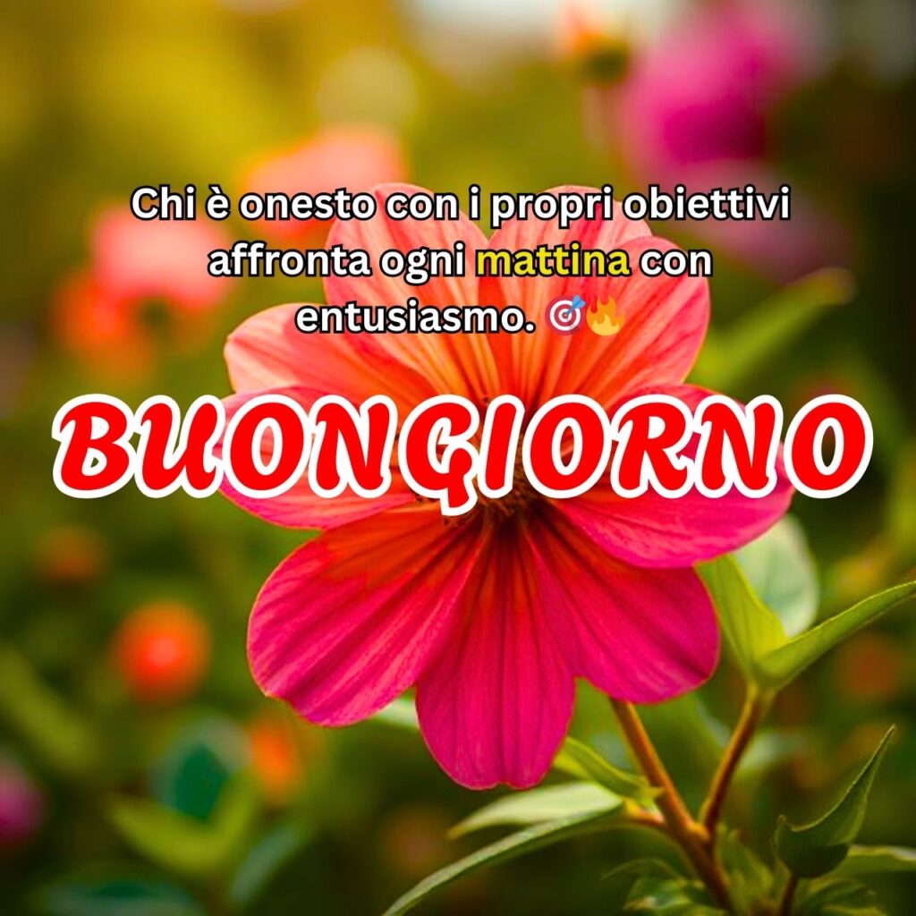 Un bellissimo fiore rosso con uno sfondo sfocato verde e rosa, accompagnato da un messaggio di buongiorno ispiratore.