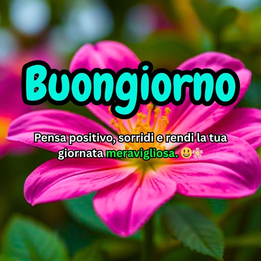 Messaggio di buongiorno con un bellissimo fiore rosa in primo piano e uno sfondo verde sfocato, accompagnato da una frase motivazionale.