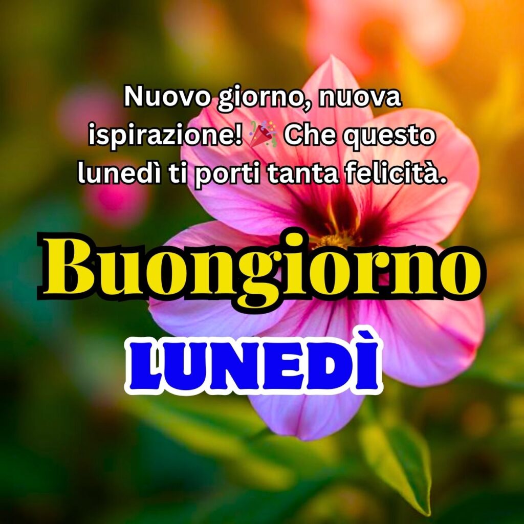 Primo piano di un fiore rosa con un messaggio motivazionale che augura un felice lunedì.