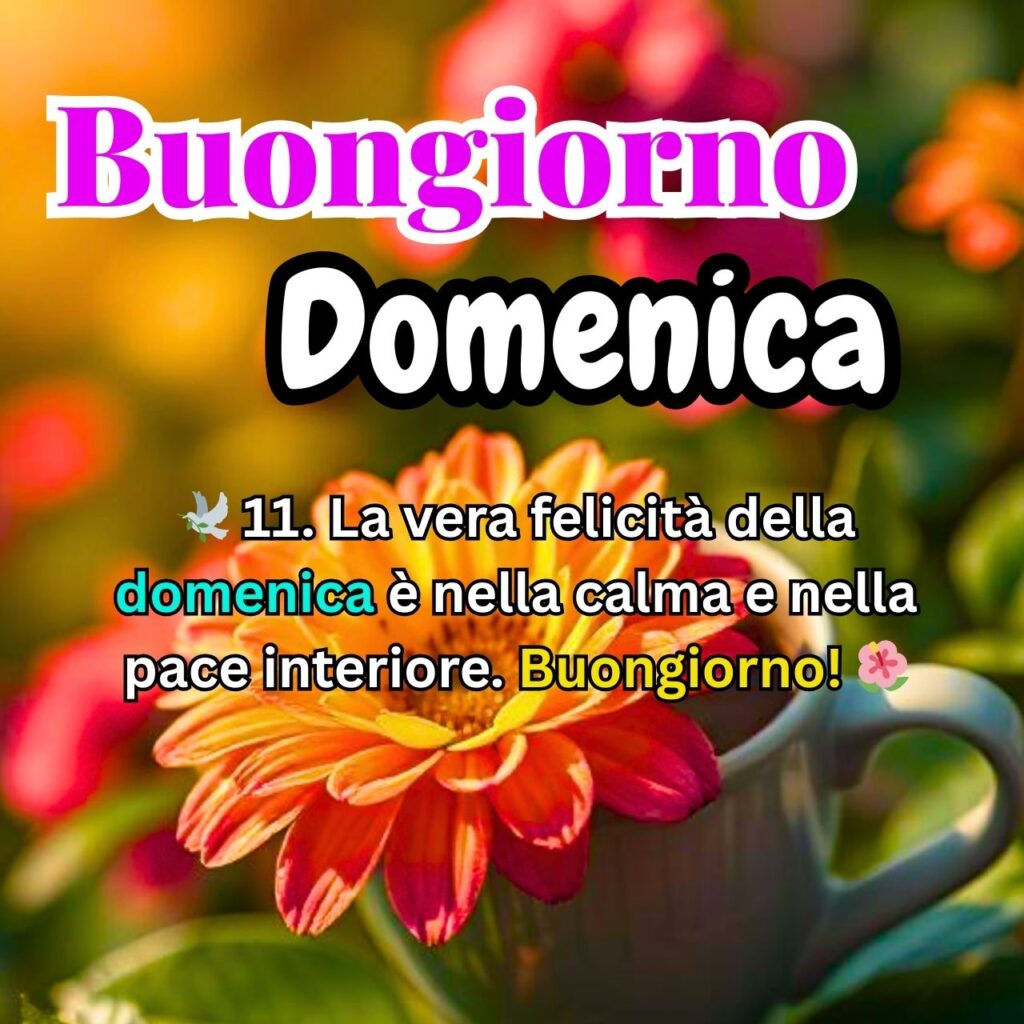 Buongiorno Domenica con fiore arancione e messaggio sulla felicità e la pace interiore