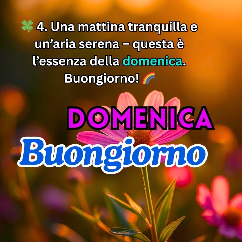 Domenica mattina con fiori rosa e messaggio di buongiorno sereno e rilassante