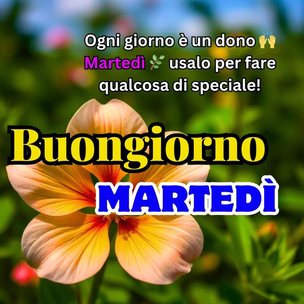 Un fiore delicato con un messaggio motivazionale per iniziare il martedì con energia e positività.