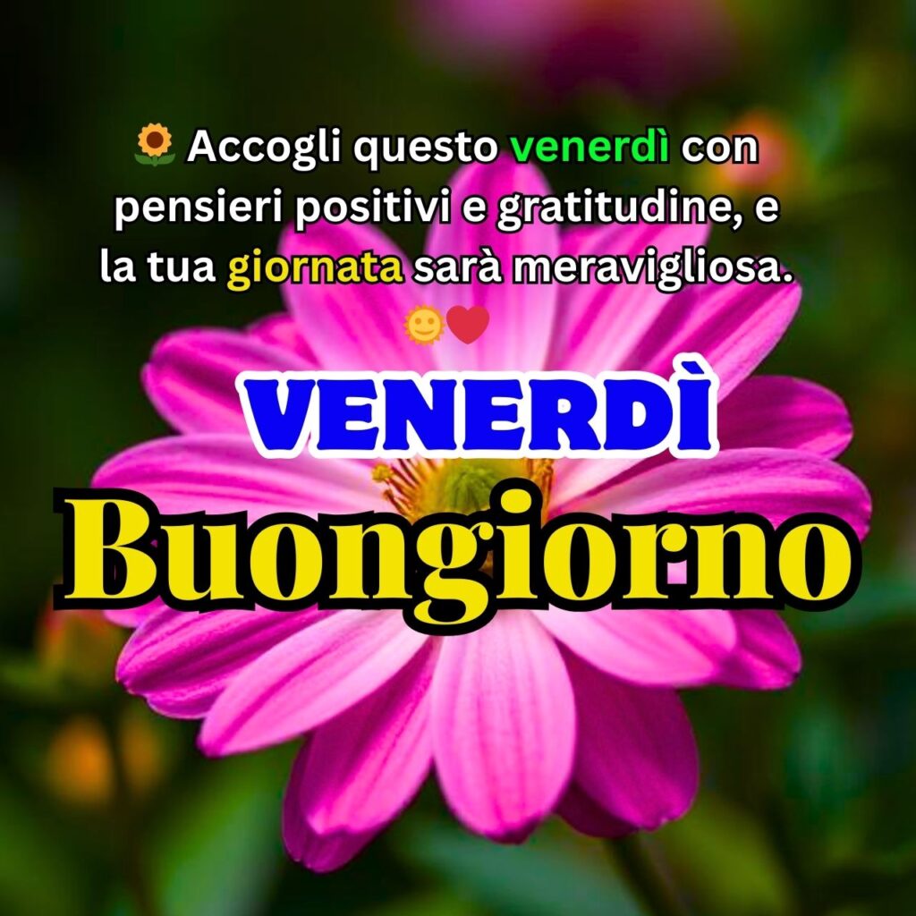 Venerdì Buongiorno" con un bellissimo fiore rosa e un messaggio positivo di gratitudine e pensieri felici per iniziare la giornata.