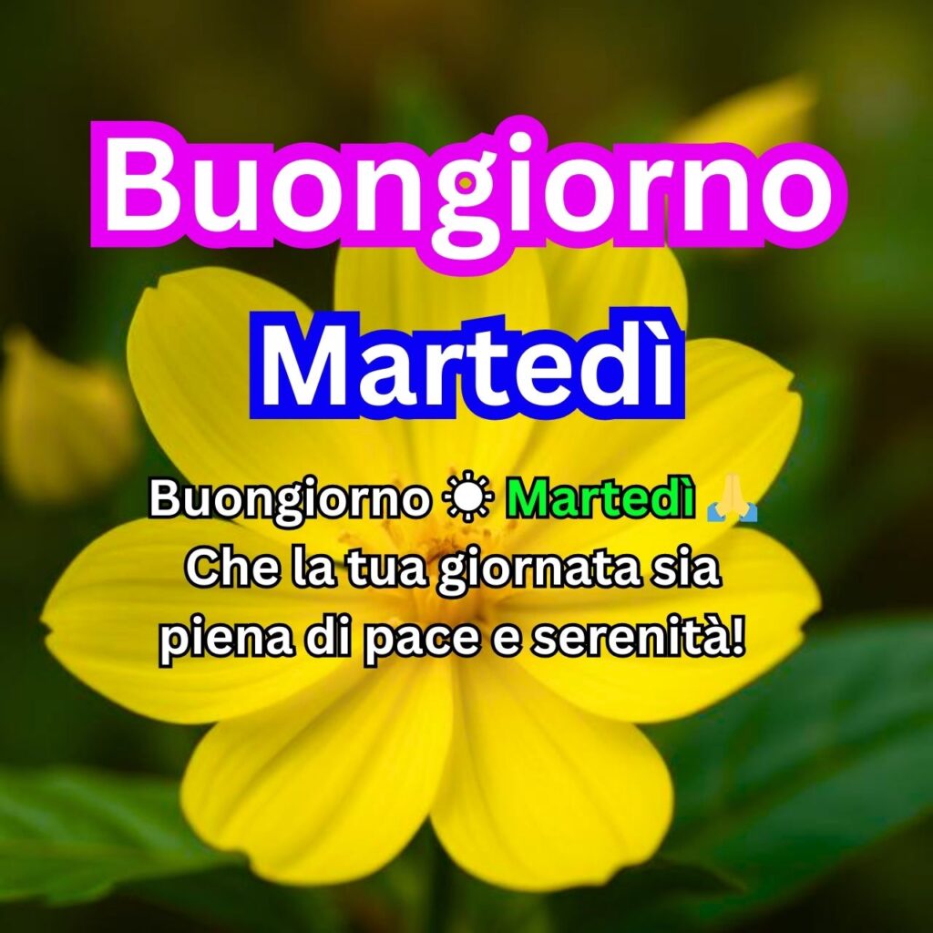 Fiore giallo brillante con un messaggio di buongiorno per un martedì sereno e positivo.