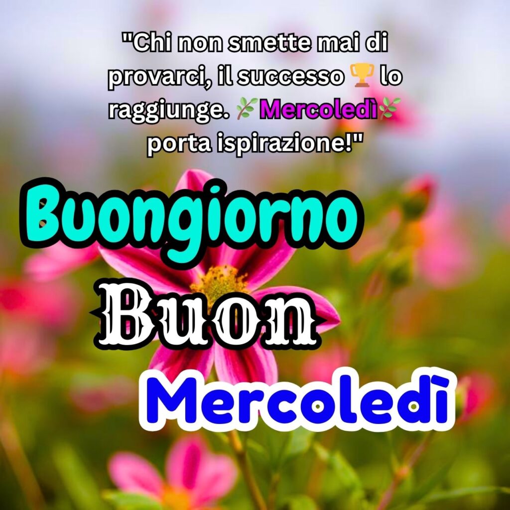 Un bellissimo fiore rosa su uno sfondo sfocato di verde e fiori, con un messaggio ispirazionale per iniziare il mercoledì con determinazione e successo.