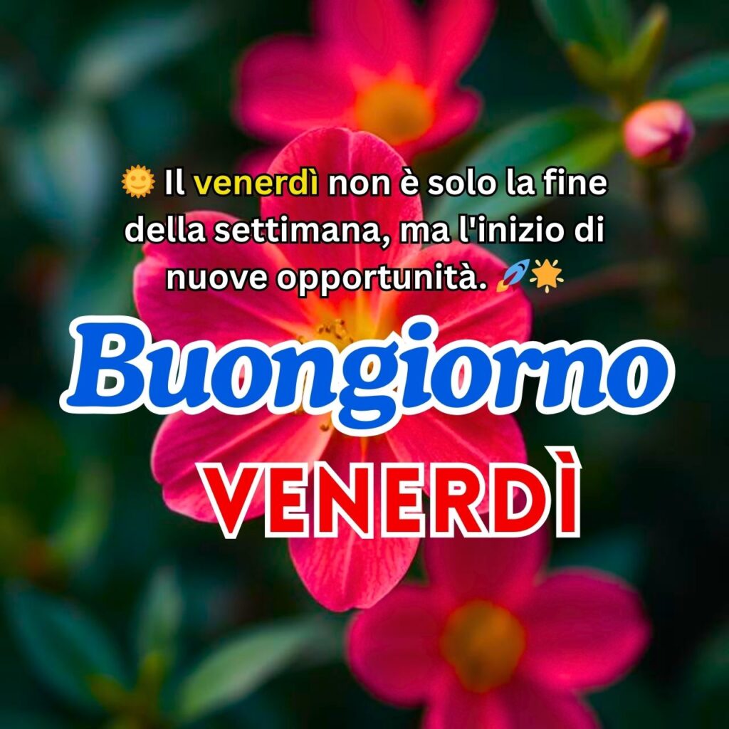 "Buongiorno Venerdì" con un fiore rosa acceso su sfondo verde scuro, simbolo di nuove opportunità.