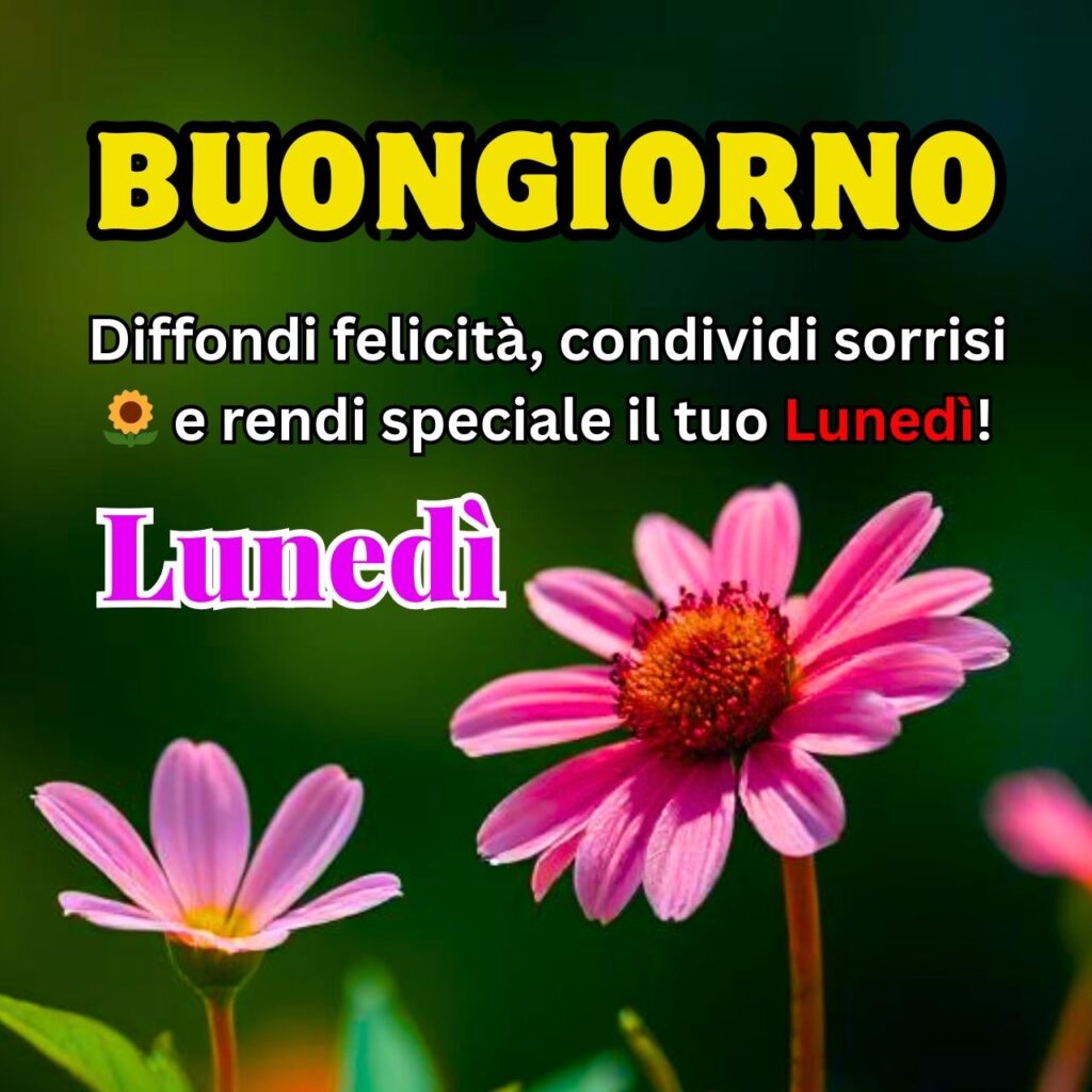 Bellissimi fiori rosa con sfondo naturale e un messaggio motivazionale per iniziare il lunedì con positività.