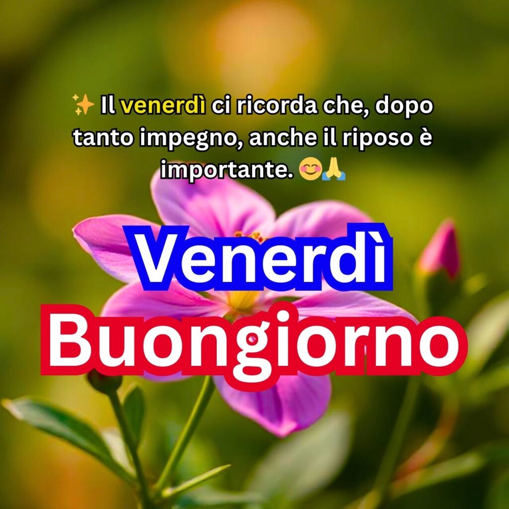 "Buongiorno Venerdì" con un bellissimo fiore rosa e un messaggio motivazionale sull'importanza del riposo dopo tanto impegno.