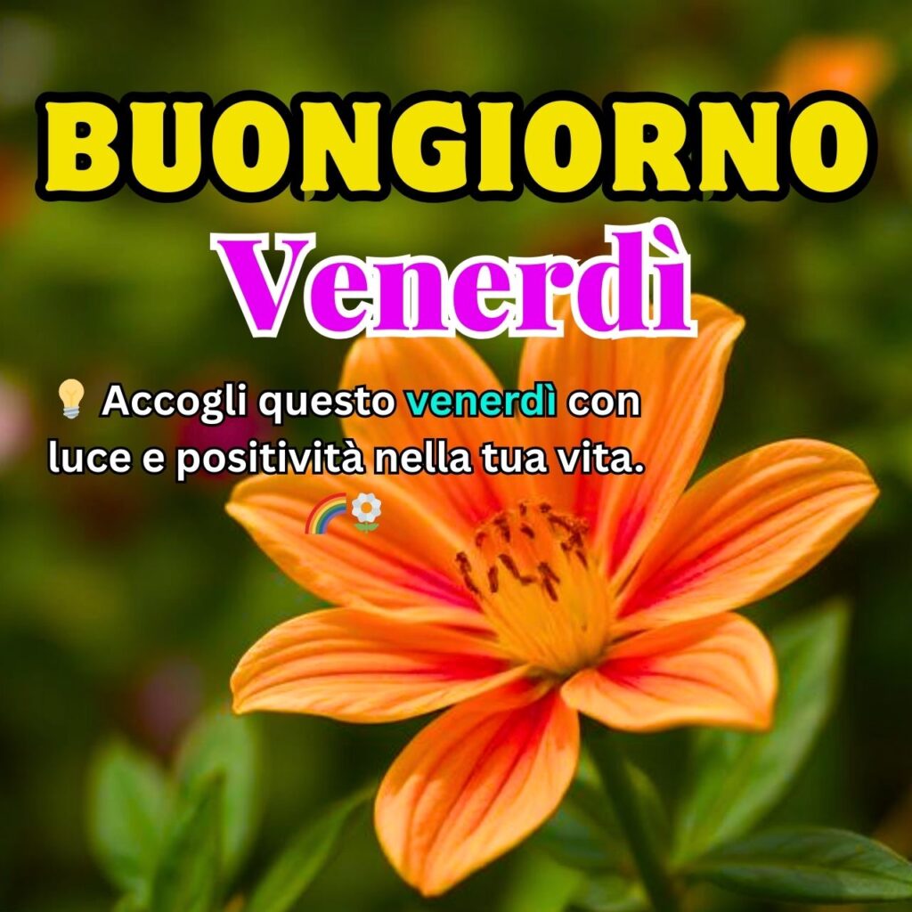 "Buongiorno Venerdì" con un fiore arancione brillante, simbolo di luce e positività.