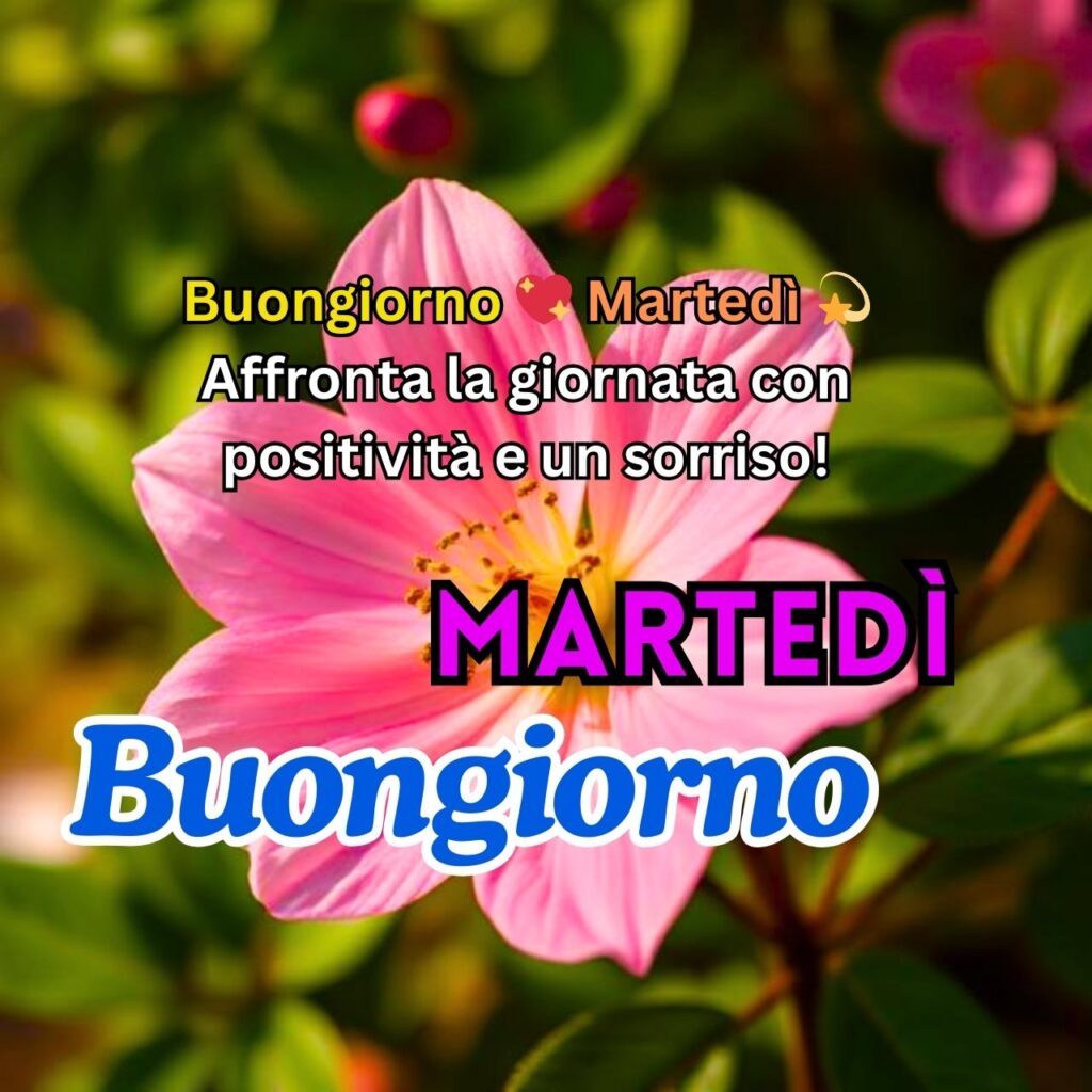 Buongiorno Martedì – Fiore rosa illuminato dal sole con sfondo verde, messaggio motivazionale positivo.