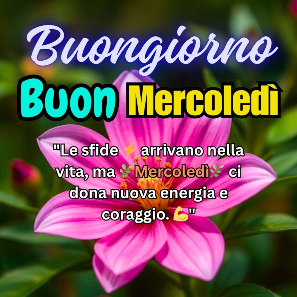 Buongiorno! Un bellissimo fiore rosa acceso tra il verde della natura con un messaggio motivazionale per affrontare il mercoledì con energia e coraggio.