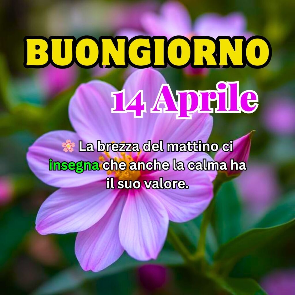 Fiore viola con messaggio di buongiorno del 14 Aprile e una citazione sulla calma
