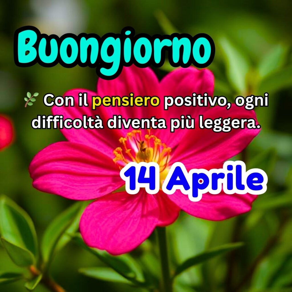 Messaggio di buongiorno con citazione motivazionale su sfondo di fiore rosa acceso – 14 Aprile