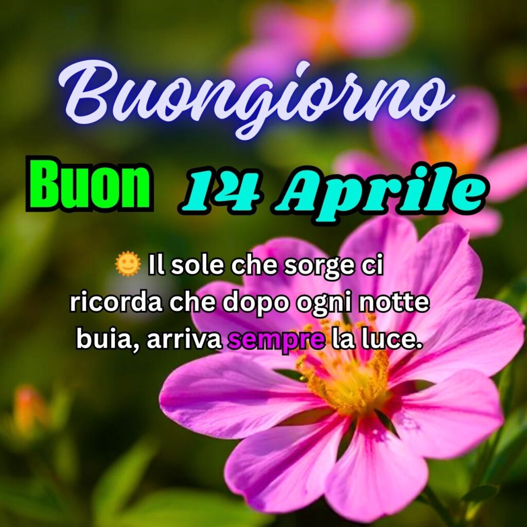 Fiore rosa con messaggio di buongiorno del 14 Aprile e frase motivazionale sulla luce dopo il buio